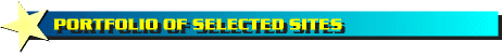Portfolio of Selected Websites